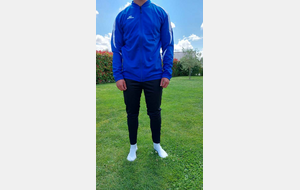 Coût des licences 2024-2025