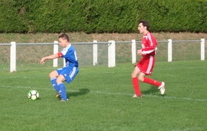 Dos au burt Robin est impérial  