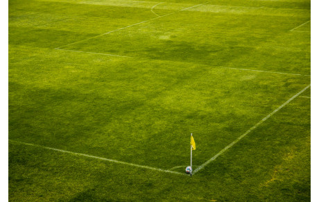 COMPOSITION GROUPE D1 A